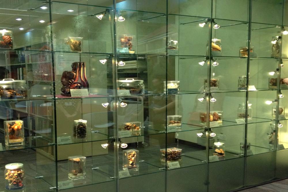 Library of Botany and Horticulture in SINGAPORE BOTANIC GARDENS